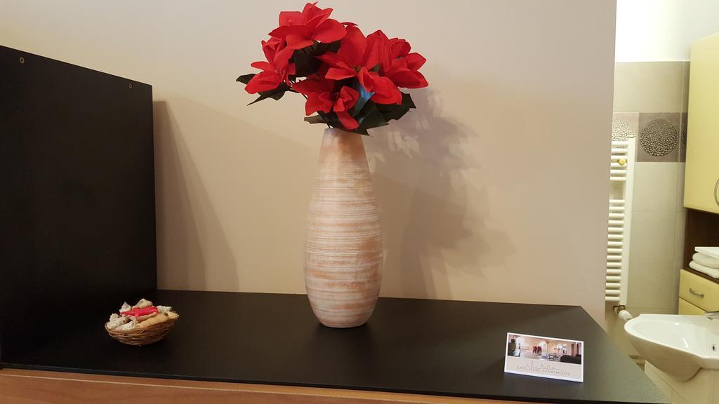 Satu Mare Apartments Екстериор снимка